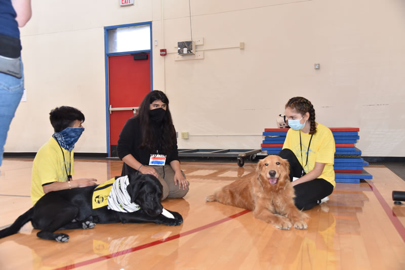 Three students sitting on the gym floor with two guide dogs laying in front of them. 