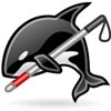 ORCA