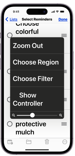 Screenshot of Zoom controls on mobile phone