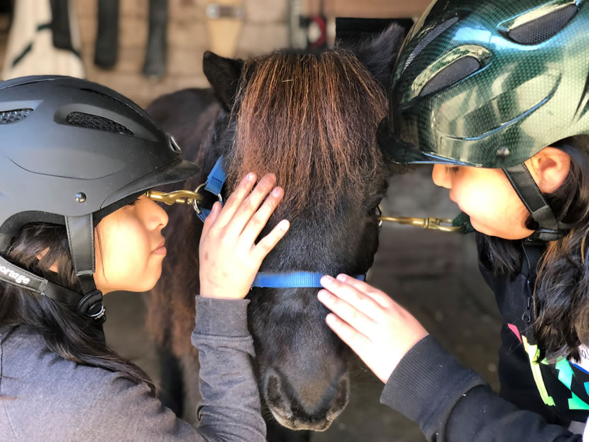 Two CSB students wearing safety helmets as they pet a pony's face at the Baywood Equestrian Center during a class field trip.